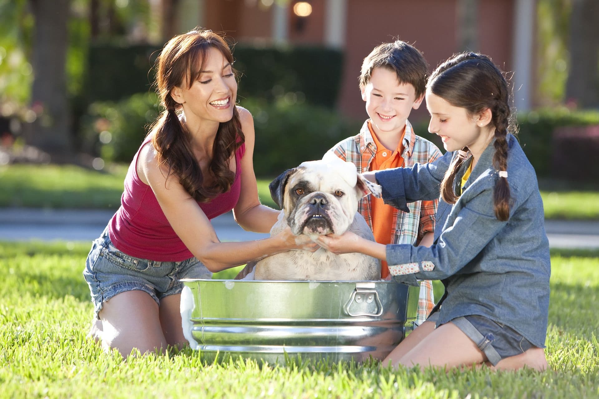 Well Water Filtration Systems
